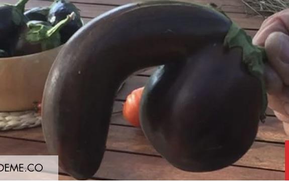 Eggplant that looks like a penis