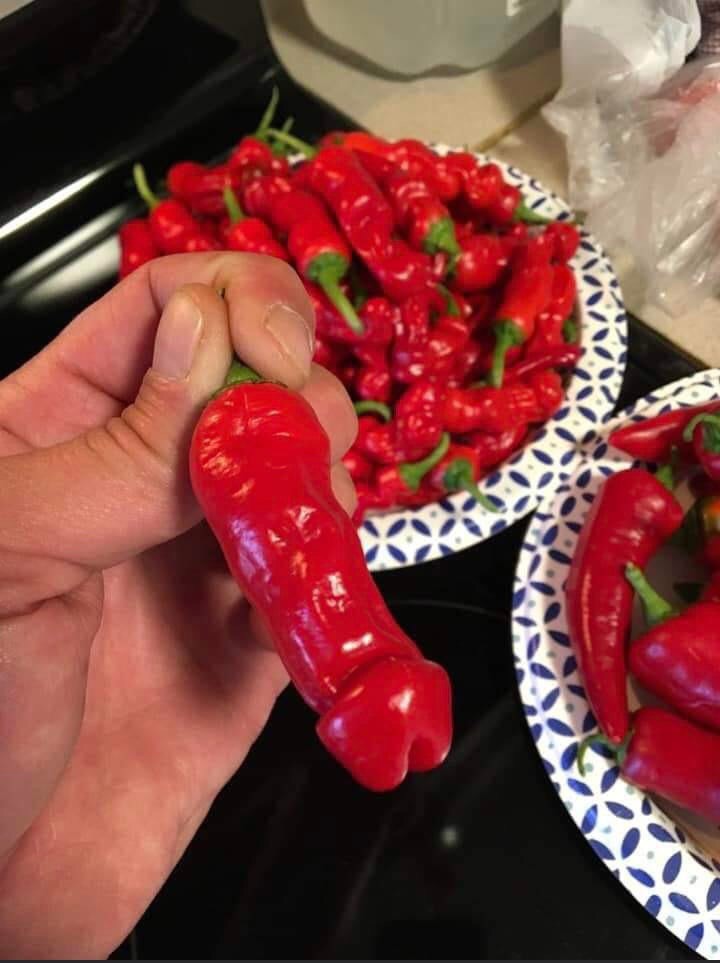 Jalapeno that looks like a penis